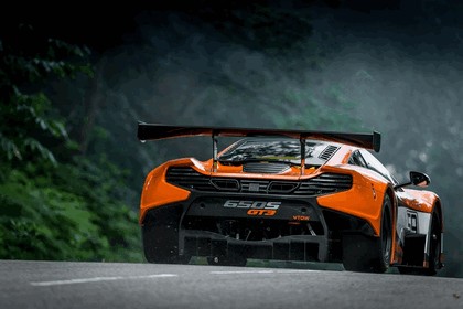 2014 McLaren 650S GT3 12