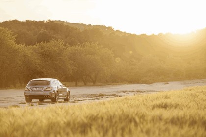 2014 Mercedes-Benz CLS 63 AMG Shooting Brake 6