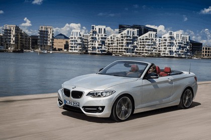 2014 BMW 228i ( F23 ) convertible 7