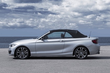 2014 BMW 228i ( F23 ) convertible 10