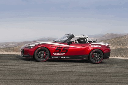 2016 Mazda MX-5 Cup racecar 15