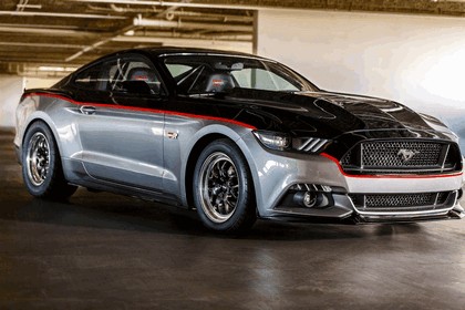 2014 Ford Mustang by Watson Racing 2