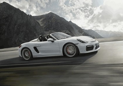 2015 Porsche Boxster 10