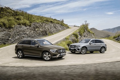 2015 Mercedes-Benz GLC 350e 4Matic 21