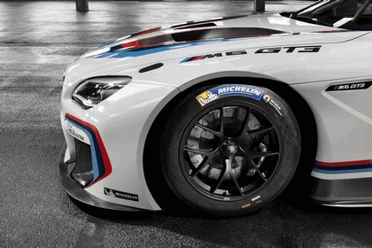 2015 BMW M6 GT3 14