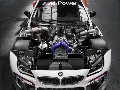 2015 BMW M6 GT3 23