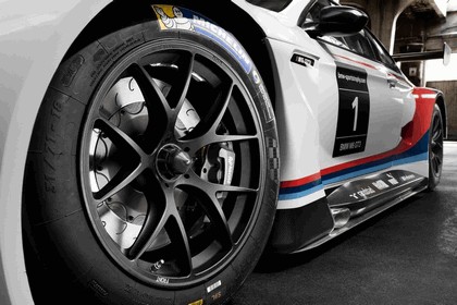 2015 BMW M6 GT3 24