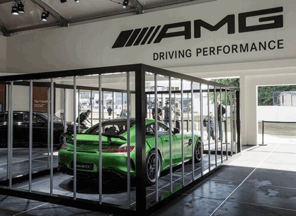 2016 Mercedes-AMG GT R 33