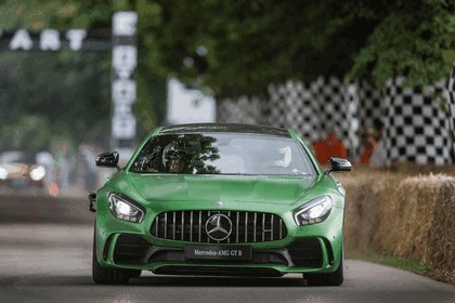 2016 Mercedes-AMG GT R 34