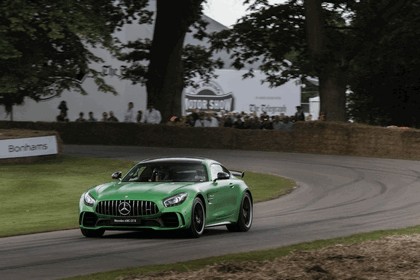 2016 Mercedes-AMG GT R 38