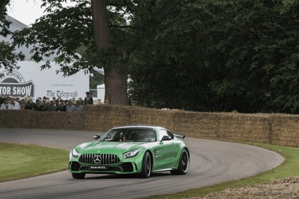 2016 Mercedes-AMG GT R 39