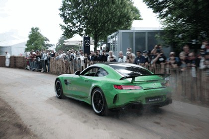 2016 Mercedes-AMG GT R 40