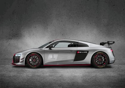 2017 Audi R8 LMS GT4 - USA version 5