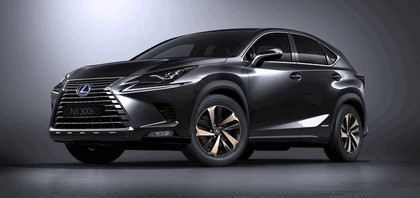 2017 Lexus NX 300h 5