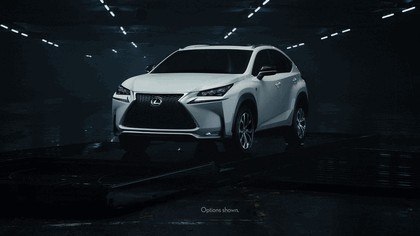 2017 Lexus NX 300h 14