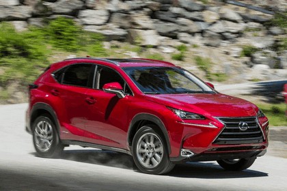 2017 Lexus NX 300h 19