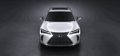 2018 Lexus UX 250h F-Sport 8