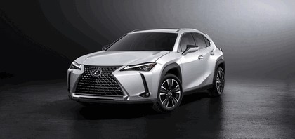 2018 Lexus UX 250h F-Sport 10