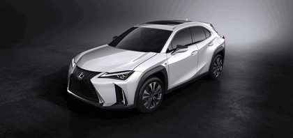 2018 Lexus UX 250h F-Sport 11