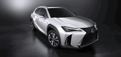 2018 Lexus UX 250h F-Sport 14