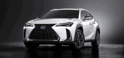 2018 Lexus UX 250h F-Sport 15