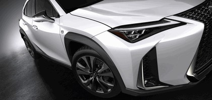 2018 Lexus UX 250h F-Sport 19