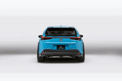 2018 Lexus UX 250h F-Sport 27