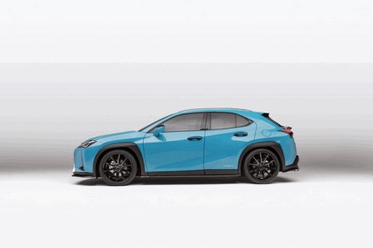 2018 Lexus UX 250h F-Sport 29