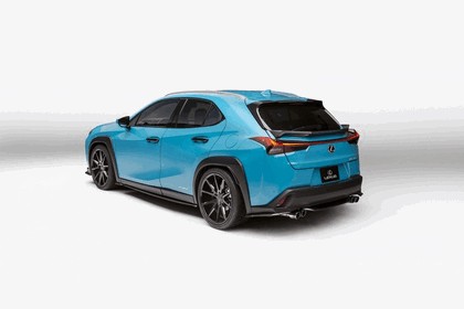 2018 Lexus UX 250h F-Sport 30