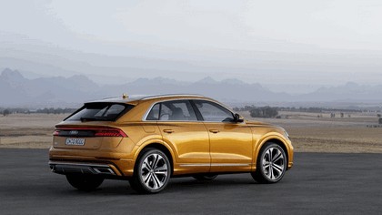 2018 Audi Q8 6