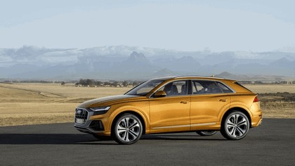 2018 Audi Q8 16