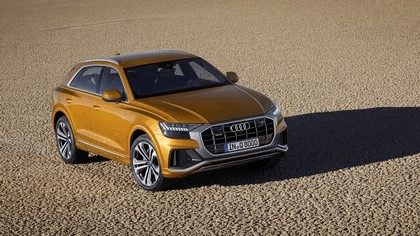 2018 Audi Q8 20