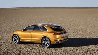 2018 Audi Q8 21