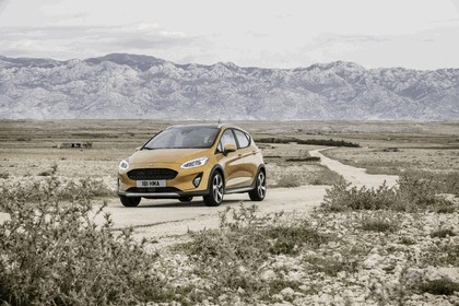 2018 Ford Fiesta Active 22