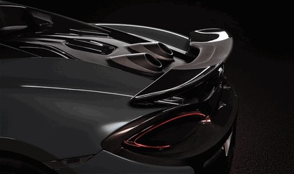 2018 McLaren 600LT 10