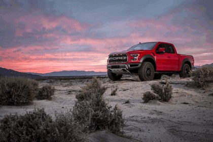 2019 Ford F-150 Raptor 14