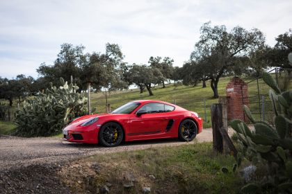 2019 Porsche 718 Cayman T 9