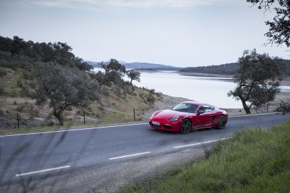 2019 Porsche 718 Cayman T 12