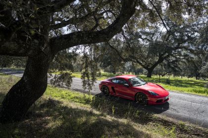 2019 Porsche 718 Cayman T 25