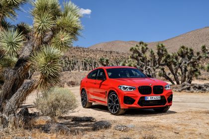 2020 BMW X4 ( F98 ) M Competition 34