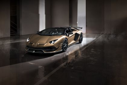 2019 Lamborghini Aventador SVJ roadster 16