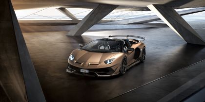 2019 Lamborghini Aventador SVJ roadster 26