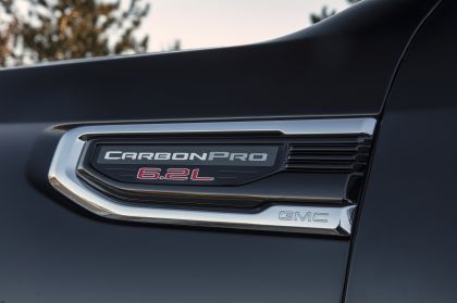 2019 GMC Sierra Denali CarbonPro Edition 13