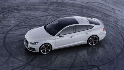 2019 Audi S5 TDI Sportback 1