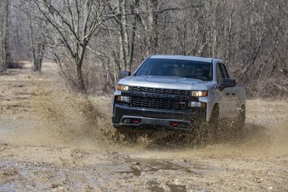 2020 Chevrolet Silverado Custom Trail Boss 7