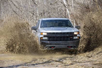 2020 Chevrolet Silverado Custom Trail Boss 8