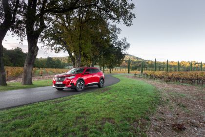 2020 Peugeot 2008 39