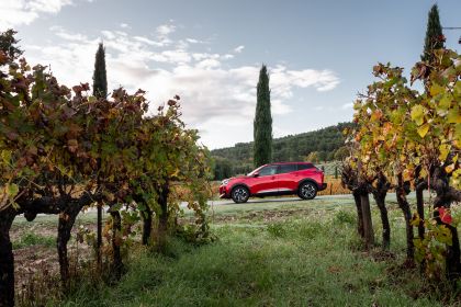 2020 Peugeot 2008 44