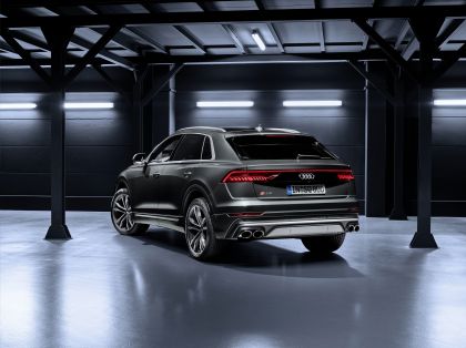 2019 Audi SQ8 TDI 10