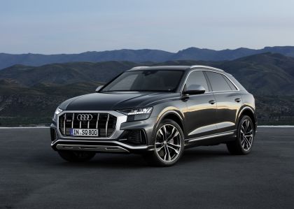 2019 Audi SQ8 TDI 21